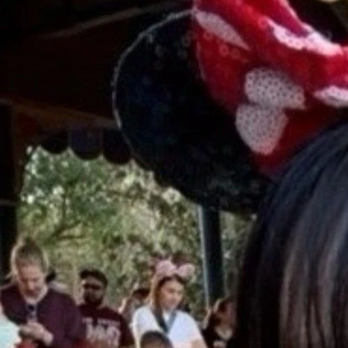 充滿粉絲愛意的Chloe (cignature)人氣照片