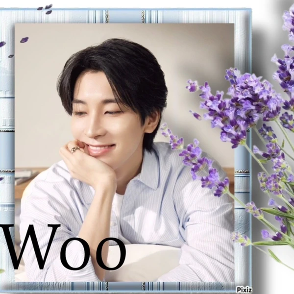 Fans' Pick: Best Moment of Wonwoo (SEVENTEEN)
