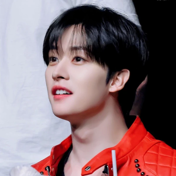 Today's Most Loved Lee Know (Stray Kids)