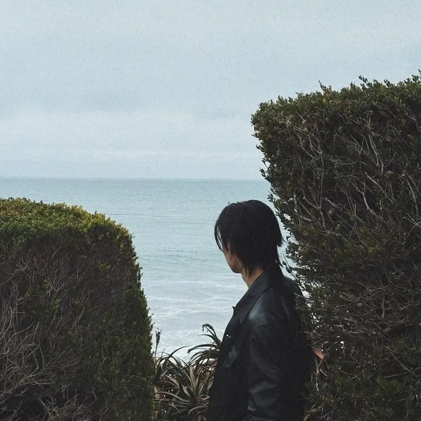 Top Photo Full of Bang Chan (Stray Kids) Love