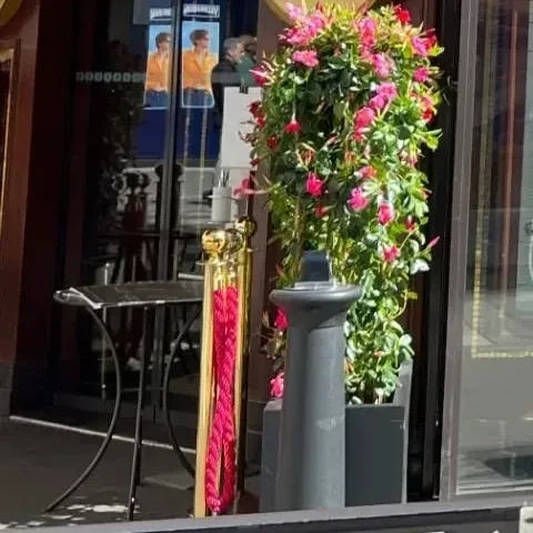 MAMAMOOへの愛が詰まった人気写真