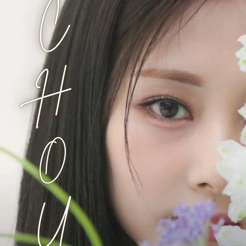 쯔위 (TWICE) 팬심 가득한 인기 사진