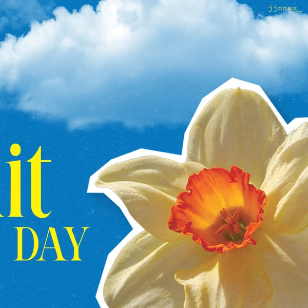 Today's Most Loved Nex (BUS)