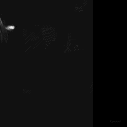 粉絲票選的江崎光 (Kep1er)最佳瞬間