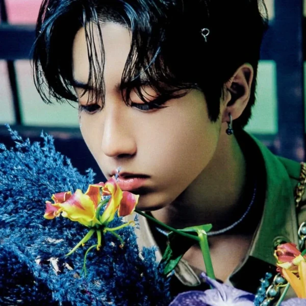 Fans' Pick: Best Moment of HAN (Stray Kids)