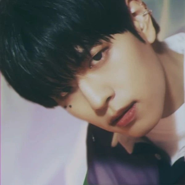 充满粉丝爱意的升玟 (Stray Kids)人气照片