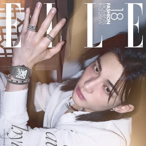 Stray Kids 팬심 가득한 인기 사진