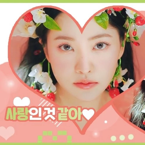 充滿粉絲愛意的Yeri (Red Velvet)人氣照片