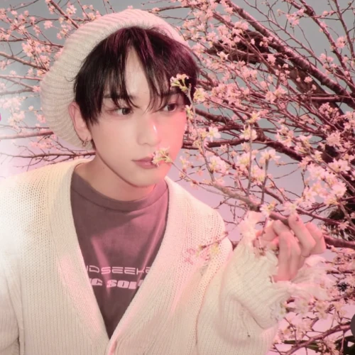 今天最受喜爱的Harua (&TEAM)