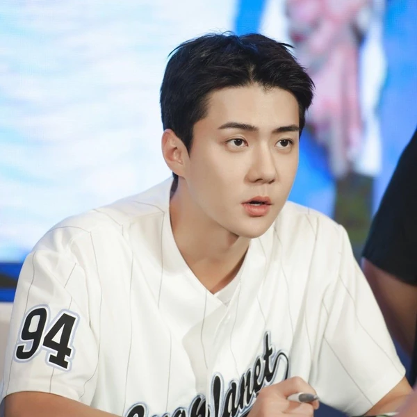 팬들이 뽑은 세훈 (EXO) 최고의 순간