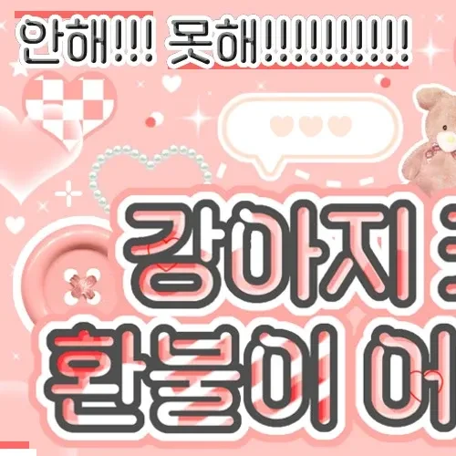 充满粉丝爱意的Leeseo (IVE)人气照片