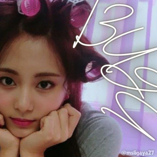 쯔위 (TWICE) 팬심 가득한 인기 사진