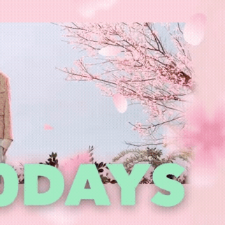 ファンが選んだウィジュ (&TEAM)最高の瞬間