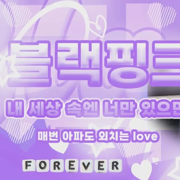 BLACKPINK 팬심 가득한 인기 사진