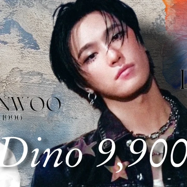 팬들이 뽑은 원우 (세븐틴) 최고의 순간