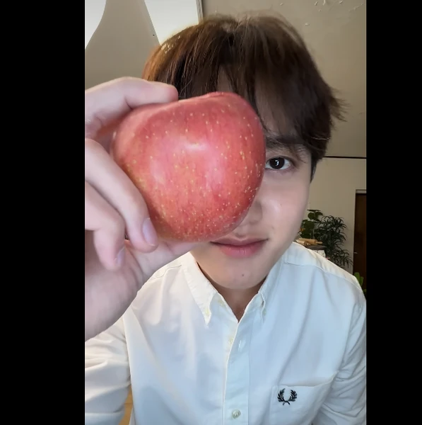 팬들이 뽑은 디오 (EXO) 최고의 순간