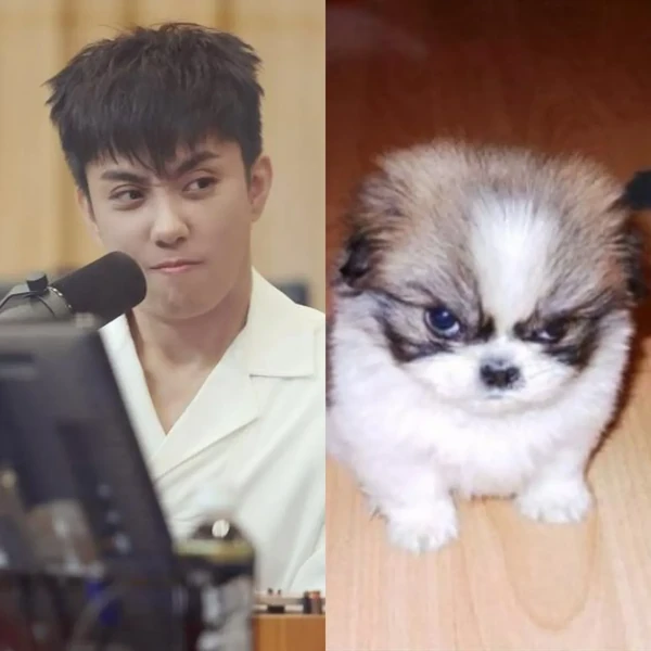 Shining profile picture of 殷志源 (水晶男孩) on today's Choeaedol