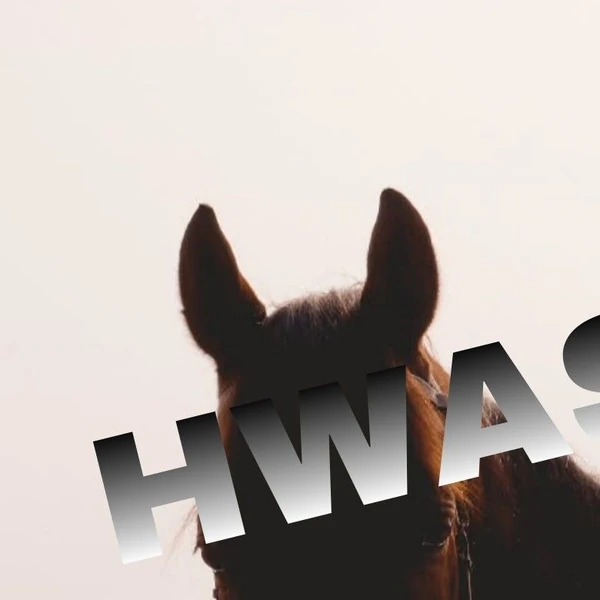 Fans' Pick: Best Moment of Hwasa (MAMAMOO)