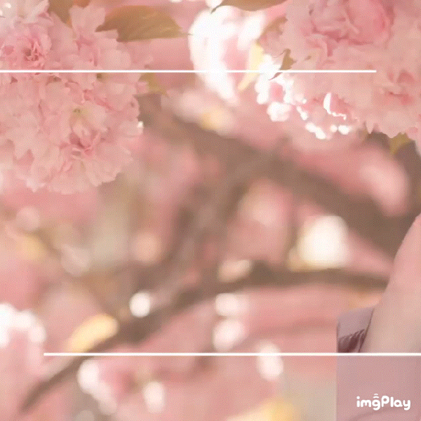 Fans' Pick: Best Moment of Yuma (&TEAM)