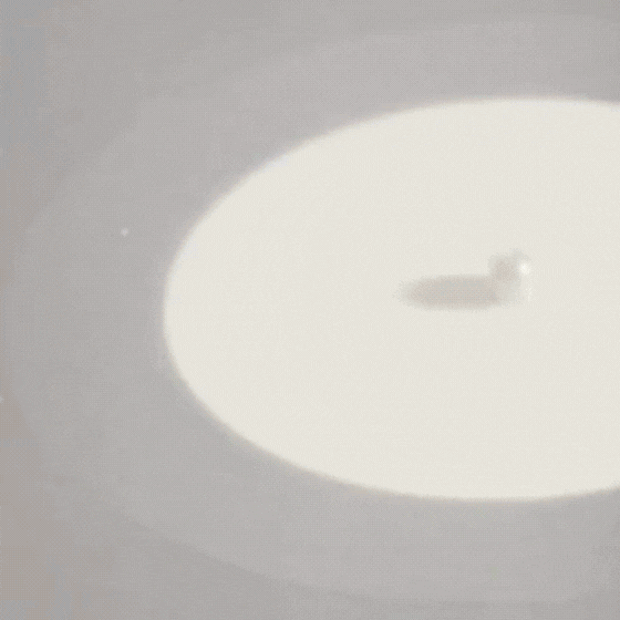 ファンが選んだBTOB最高の瞬間