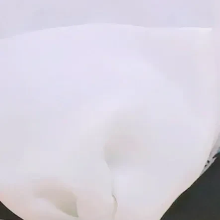 Fans' Pick: Best Moment of Arin (OH MY GIRL)