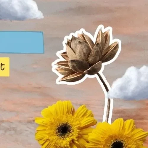 Top Photo Full of Handong (DREAMCATCHER) Love