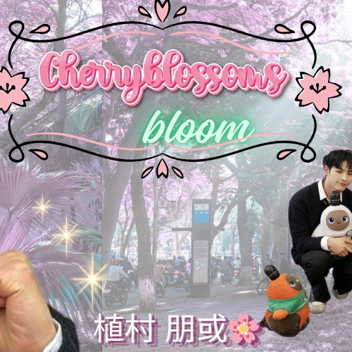 Today's Most Loved Tomoya (NEXZ)