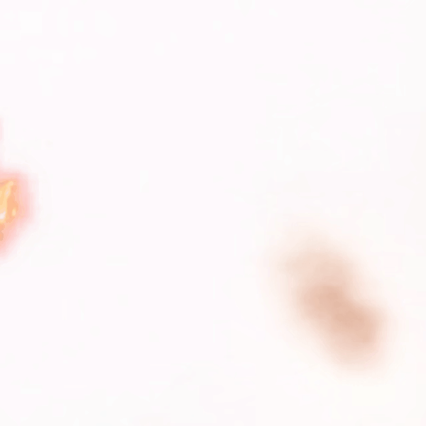 Fans' Pick: Best Moment of Jo (&TEAM)