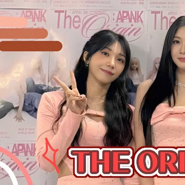 팬들이 뽑은 에이핑크 최고의 순간