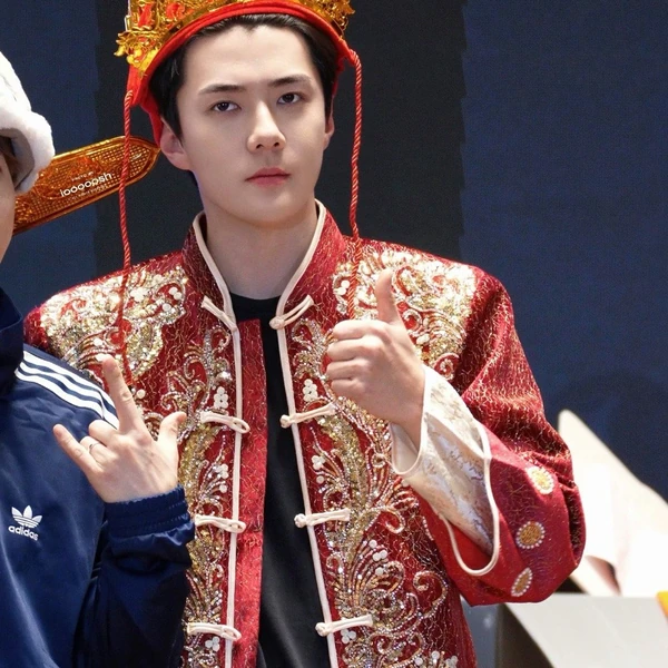 팬들이 뽑은 세훈 (EXO) 최고의 순간