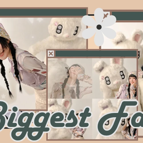 充滿粉絲愛意的Irene (Red Velvet)人氣照片