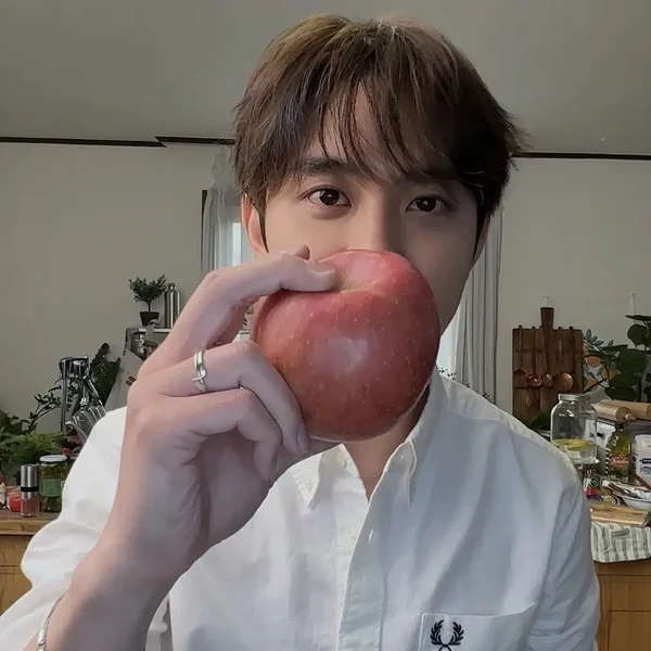 디오 (EXO) 팬심 가득한 인기 사진