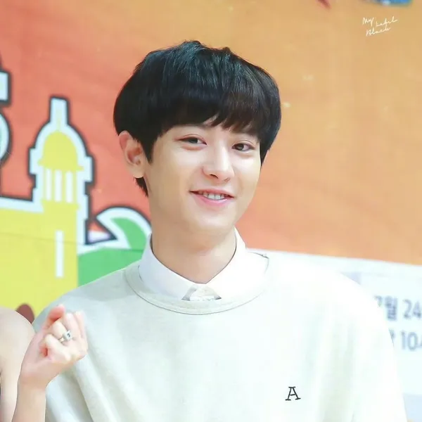 今日最受喜愛的燦烈 (EXO)