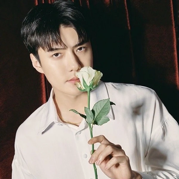 Fans' Pick: Best Moment of Sehun (EXO)