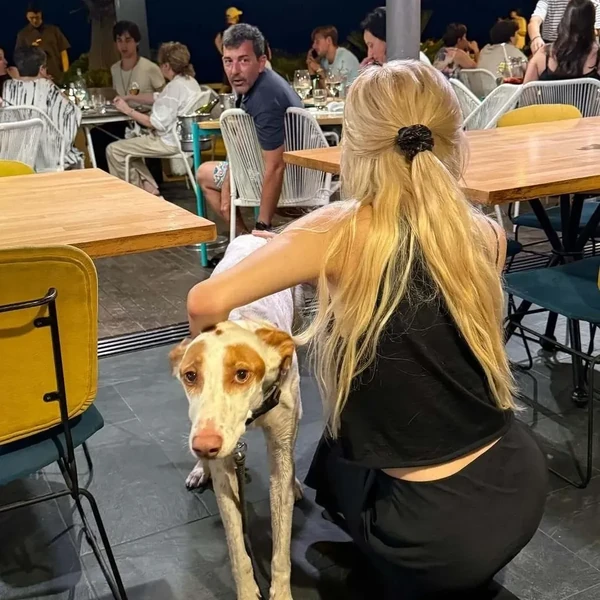 ロゼ (BLACKPINK)への愛が詰まった人気写真