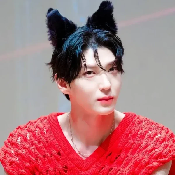 Popular profile image of LEO (VIXX) selected by votes