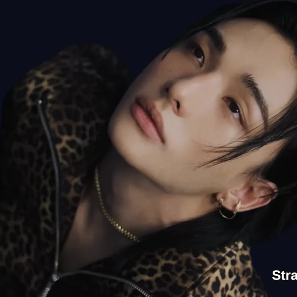 Today's Most Loved Hyunjin (Stray Kids)