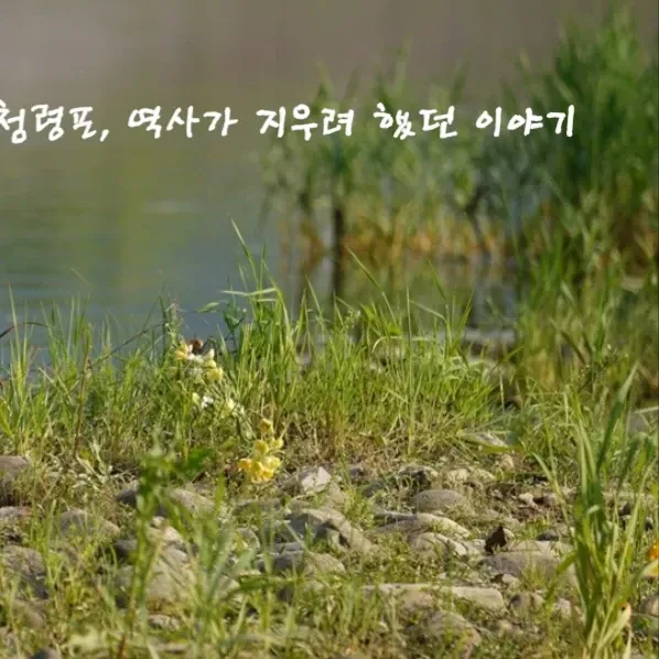 Fans' Pick: Best Moment of Park Jihoon