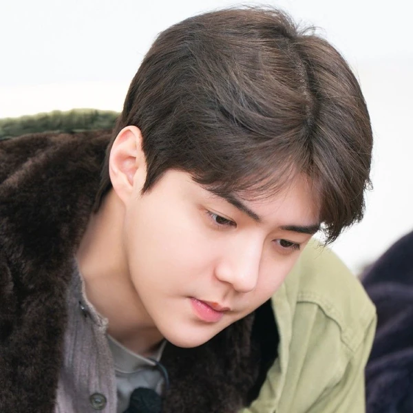 세훈 (EXO) 팬심 가득한 인기 사진