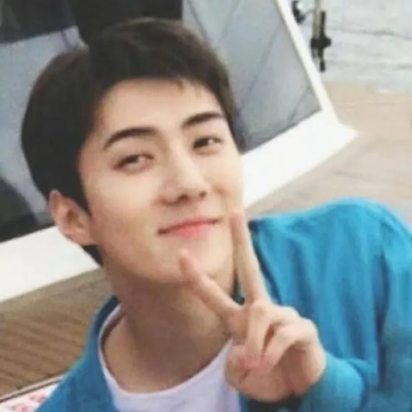 팬들이 뽑은 세훈 (EXO) 최고의 순간