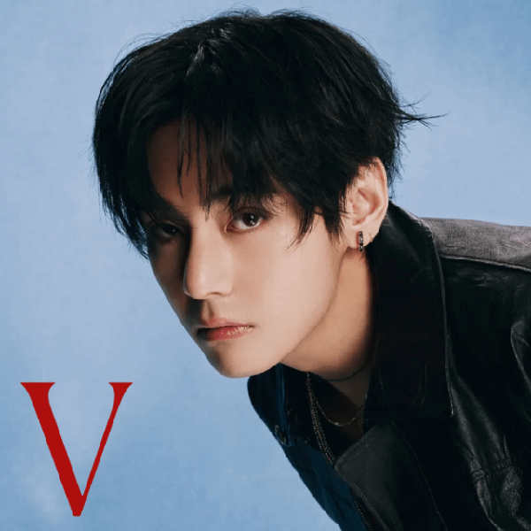 粉絲票選的V (防彈少年團)最佳瞬間