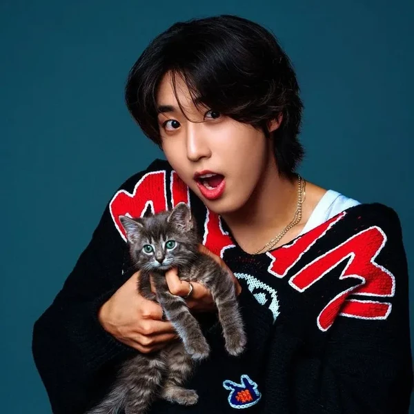 Today's Most Loved HAN (Stray Kids)