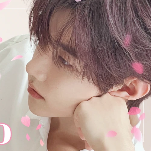 Today's Most Loved Zhang Hao