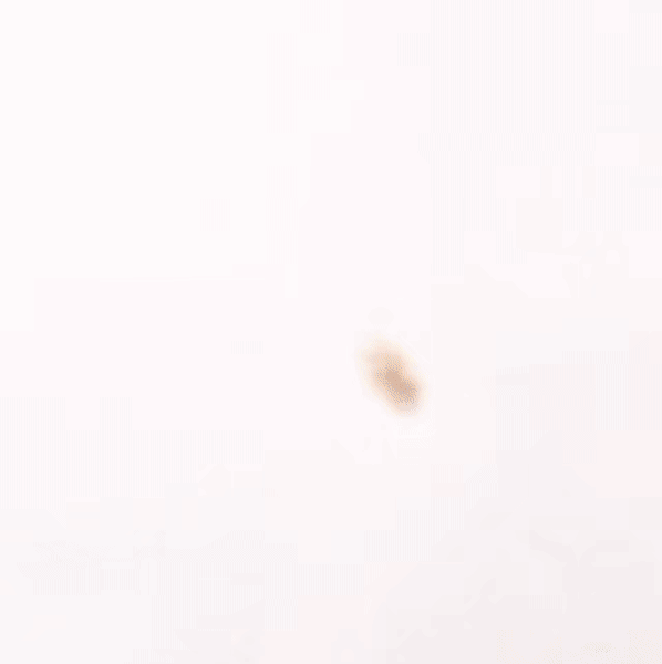 오늘 가장 사랑받은 아스트로의 모습