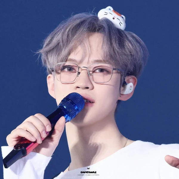 Fans' Pick: Best Moment of Chenle (NCT DREAM)