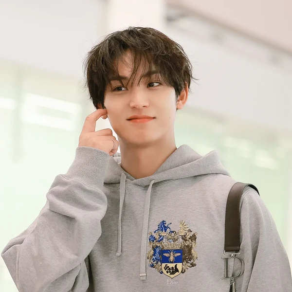 Fans' Pick: Best Moment of Mingyu (SEVENTEEN)