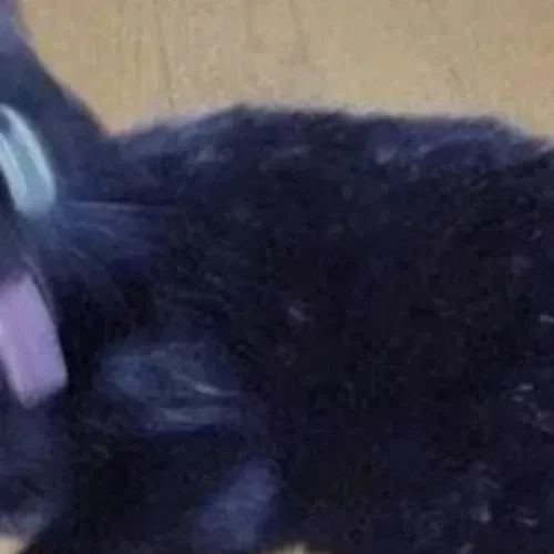 Fans' Pick: Best Moment of Wooyoung (ATEEZ)