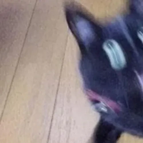 Today's Most Loved Wooyoung (ATEEZ)