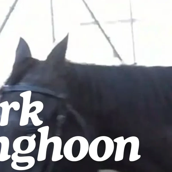 Top Photo Full of Sunghoon (ENHYPEN) Love