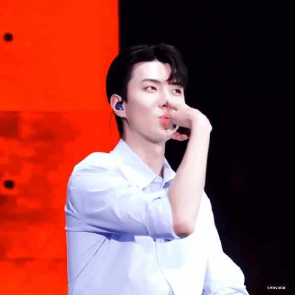 세훈 (EXO) 팬심 가득한 인기 사진